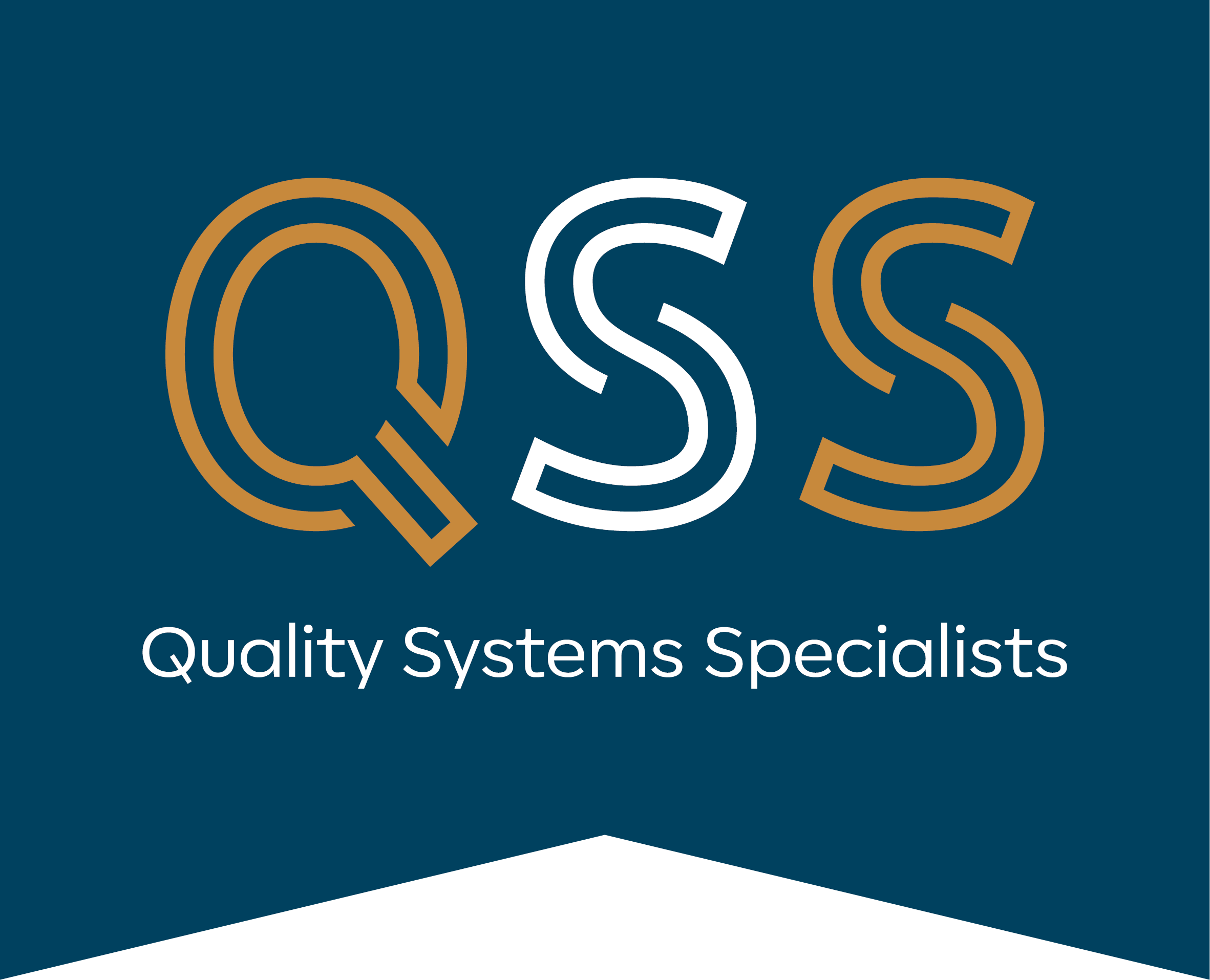 QSS_logo_blue_rgb